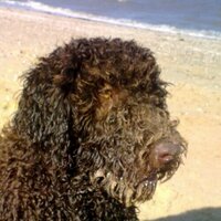 Sam Richardson (@sammytammyr) 's Twitter Profile