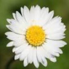 PottyAliPotter Profile Picture