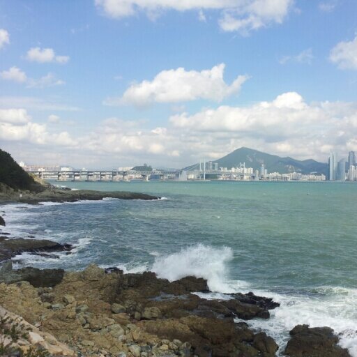 각자도생