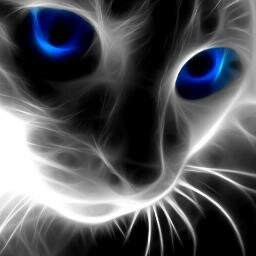 cristobal152lol's profile picture. 