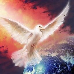 Vou seguir quem me seguir! Vou sempre postar coisas q glorificam o Senhor! e não que agradem o homem!