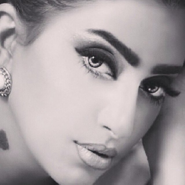 sh3ool565 Profile Picture