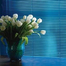 Leading provider of vertical, Venetian, roller and wooden blinds in the UK