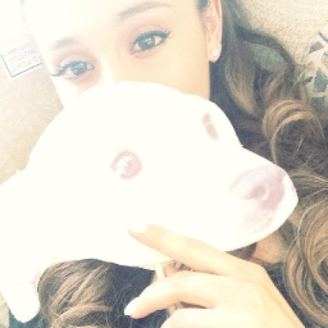 arianator by day , undercover paparazzi by night | 0/2 | Ariana Grande Is My Super Hero @themccurdies is my other half