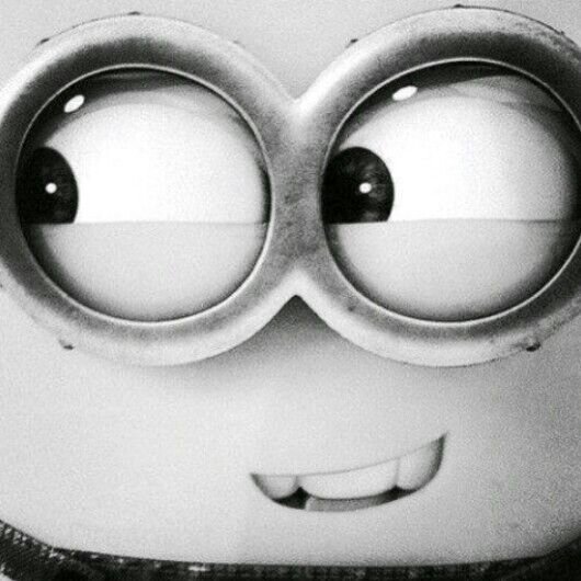 Followback. Sigueme, te sacaré una sonrisa !  Te quiero, a milimetros. Mi pez