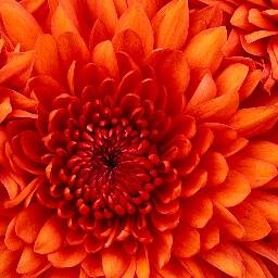 juliejky's profile picture. Wife • Mom • NP • Husker fan