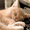 Patty Knapp - @KnappPatty - Twitter