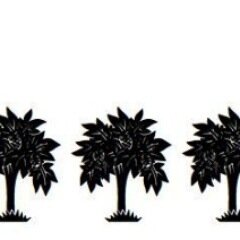 SoCoFilms's profile picture. Independent Film Maker