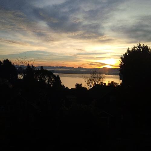 staceymonahan's profile picture. Mom of 3, political junkie, social justice advocate and dog lover