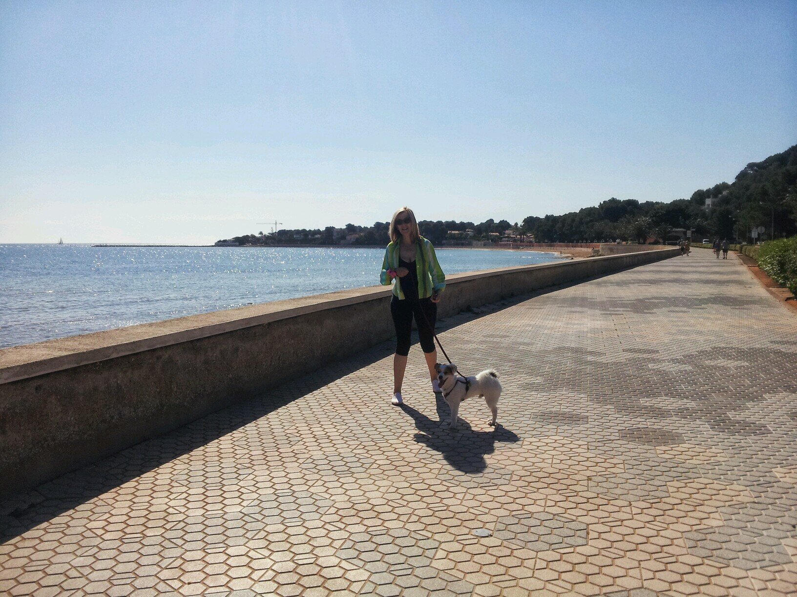 morlan_spain Profile Picture
