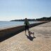 Antonia Morales (@morlan_spain) Twitter profile photo Antonia Morales (@morlan_spain) Twitter profile photo