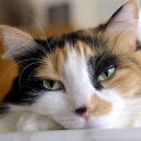 Kathy bridge - @Kattybri23 - Twitter