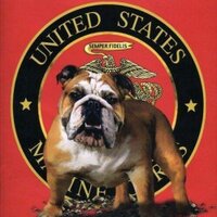 USMC3048 (@drabyusmc) 's Twitter Profile