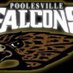 Falcon Library (@falconlibraryo) Twitter profile photo
