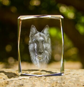 Memorias en 3D