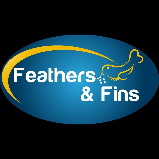 A small family run pet centre, we sell koi & pond fish & food, wild bird food, poultry food, chickens, fishing bait & a wide range of accesories