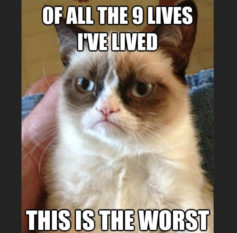 Is anyone alive at this minute?