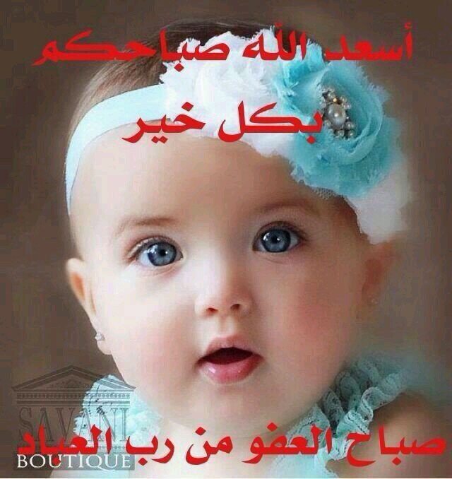 معلمة متقاعده أحب افيد وأستفيد