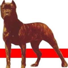 vetgarciahu's profile picture. 