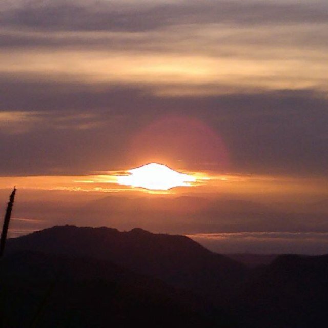 Eliana130900's profile picture. 