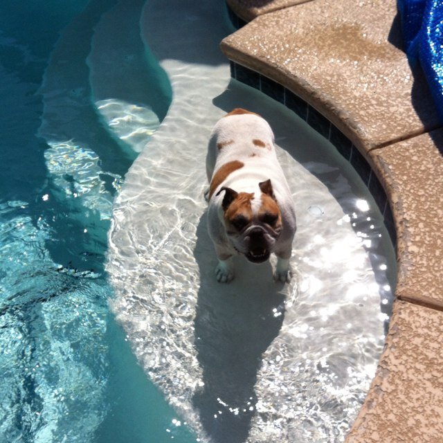 richiegio9's profile picture. 