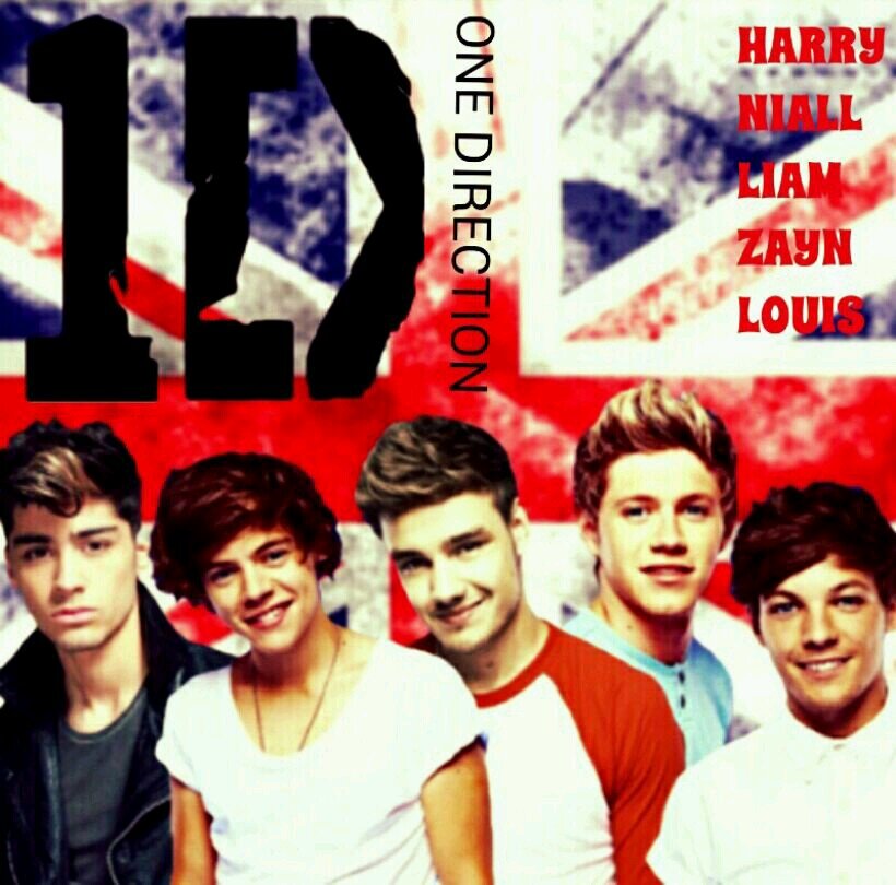 I am a Directioner. Follow me I follow Back! 0/5