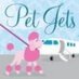 Pet Air Ambulance (@247airambulance) Twitter profile photo