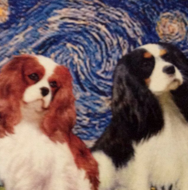 dottycomm's profile picture. 