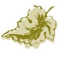 Vine Solutions (@vinesolutions) 's Twitter Profile
