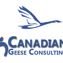5 Canadian Geese (@5CanadianGeese) Twitter