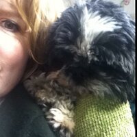 Sarah James (@james_smcjames) 's Twitter Profile