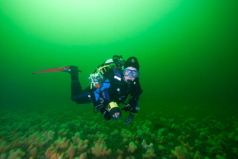 PollyRWhyte's profile picture. 