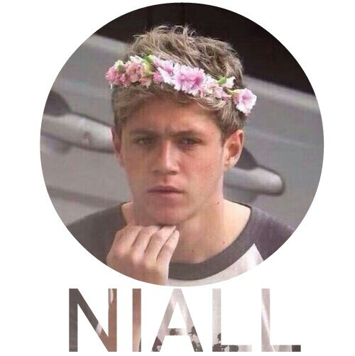 Hey my lil' flowers, kindly go follow @MCniallleerr bc i just gave u a free follow and she follows back, just ask ;) if u already followed her. tysm ;) ilysm♥