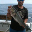 Frank Grate - @FrankGrate - Twitter