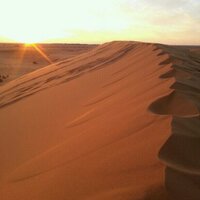 فذلكه (@i_12_12) 's Twitter Profile