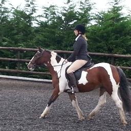 Loves Horses, Riding, Dogs and busy family lives, Hates people who pay more attention to  Twitter and the Internet than their family and friends.
