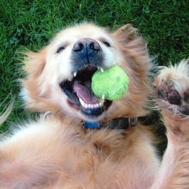 kaontwitta's profile picture. 