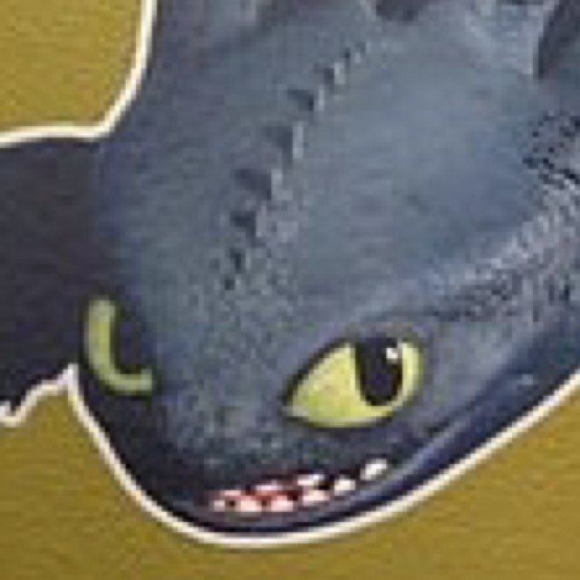 Im ashfall, Dragon of @FuckOff030 ! I will be loyal to her because she rescued me! Im a baby nightfury, but my mother abandoned me....
