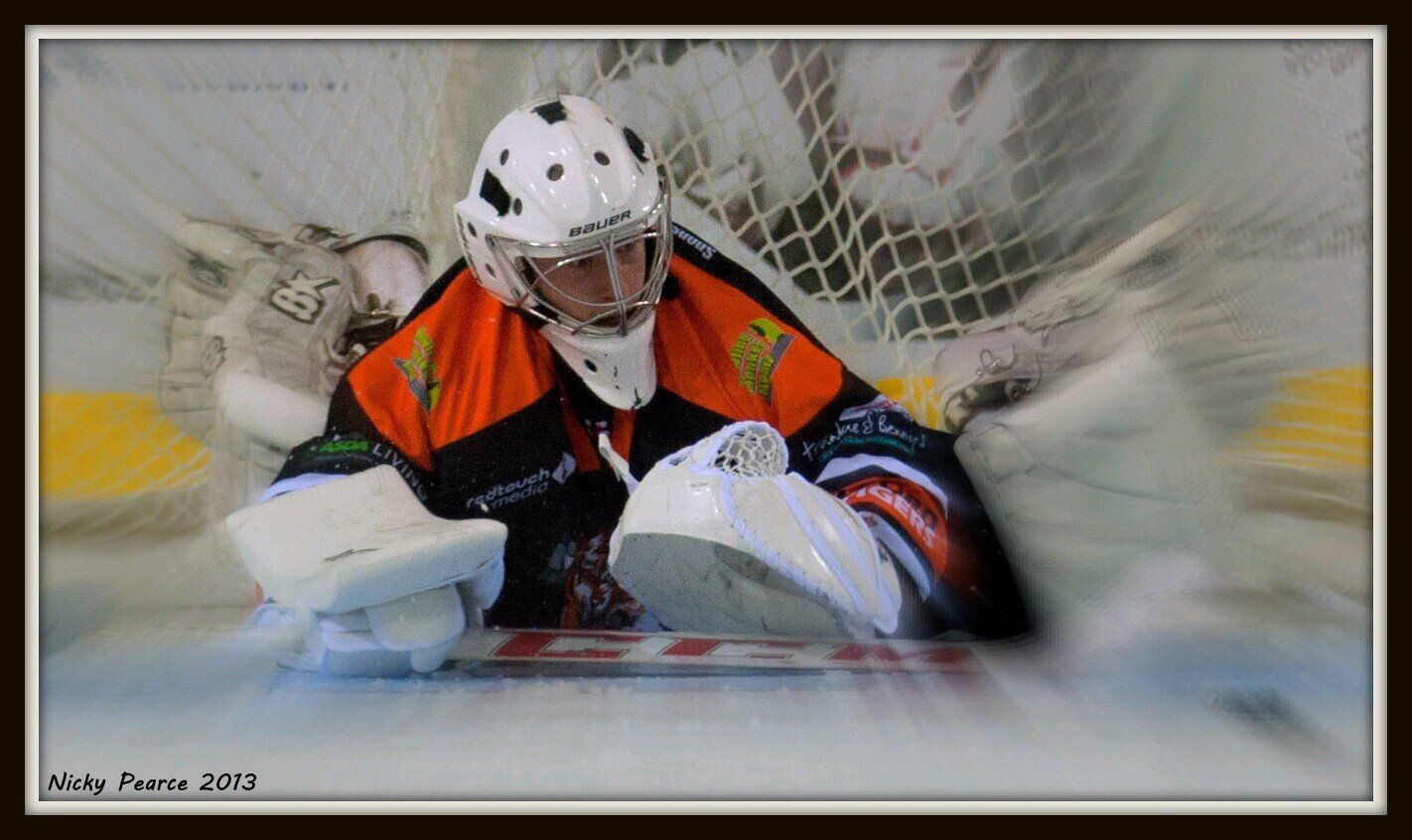 Telford Tigers Fan