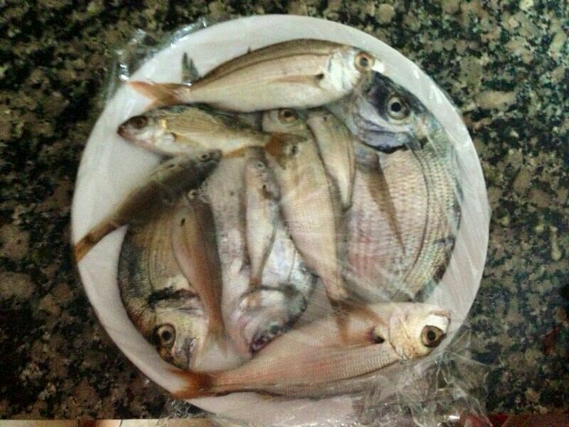 pescaaragonesa's profile picture. http://t.co/gYAuJp0aKA