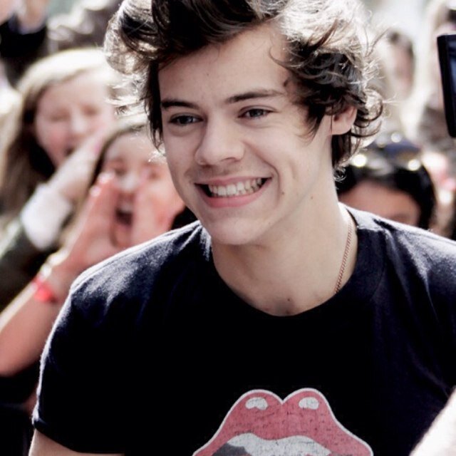 i just really love harry styles