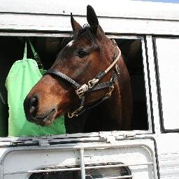 #501c3 thoroughbred rescue & retirement