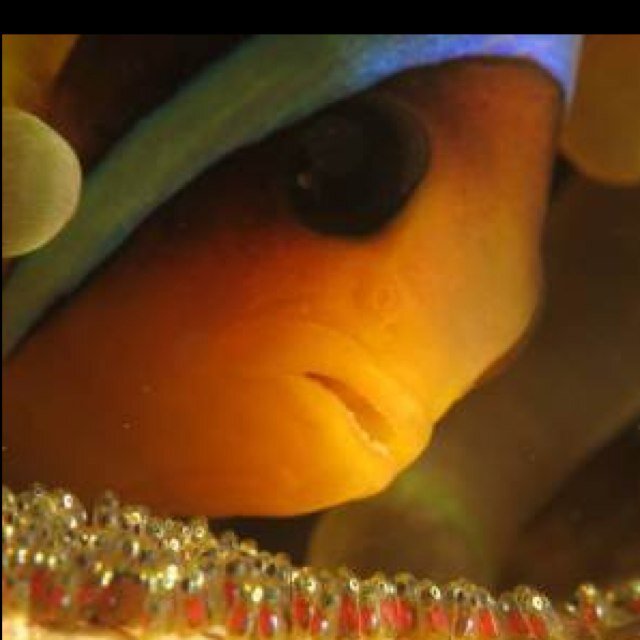 Better put something here, or people will think I'm Humpty Dumpty's sister.