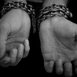 Olgaenlibertad's profile picture. 