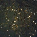 Itzel Valencia - @V13Itzel - Twitter