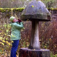 Lisa Mueller (@msmoakst) 's Twitter Profile Photo Lisa Mueller (@msmoakst) 's Twitter Profile Photo