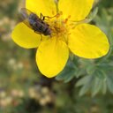 Roxann Johnson - @roxy6886 - Twitter