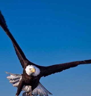 hromanen's profile picture. 