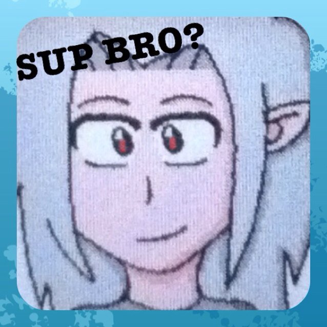 I don't know much about my past, all I know is that I'm a bro, I'm 16, and love to kick barrel butt! Waz up bro!? *Brofist*