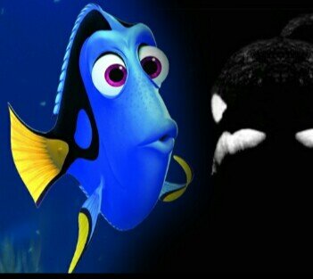 #FindingDory: 6/17/2016 @findingdory